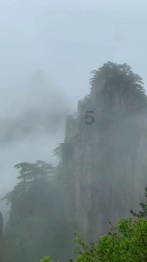 组装机械机甲暴龙2