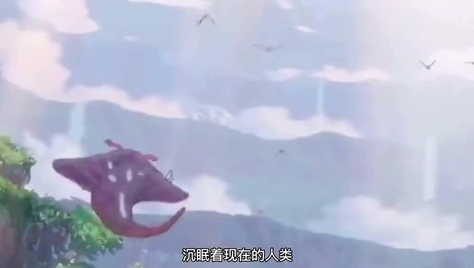 蓝狐视频