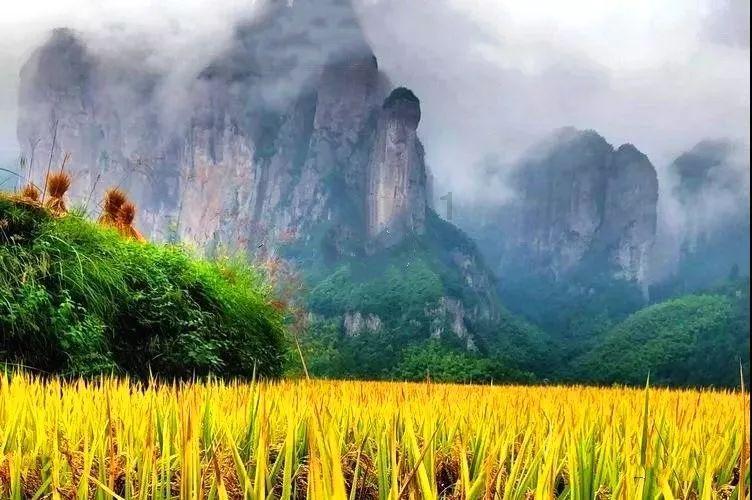 晶体管