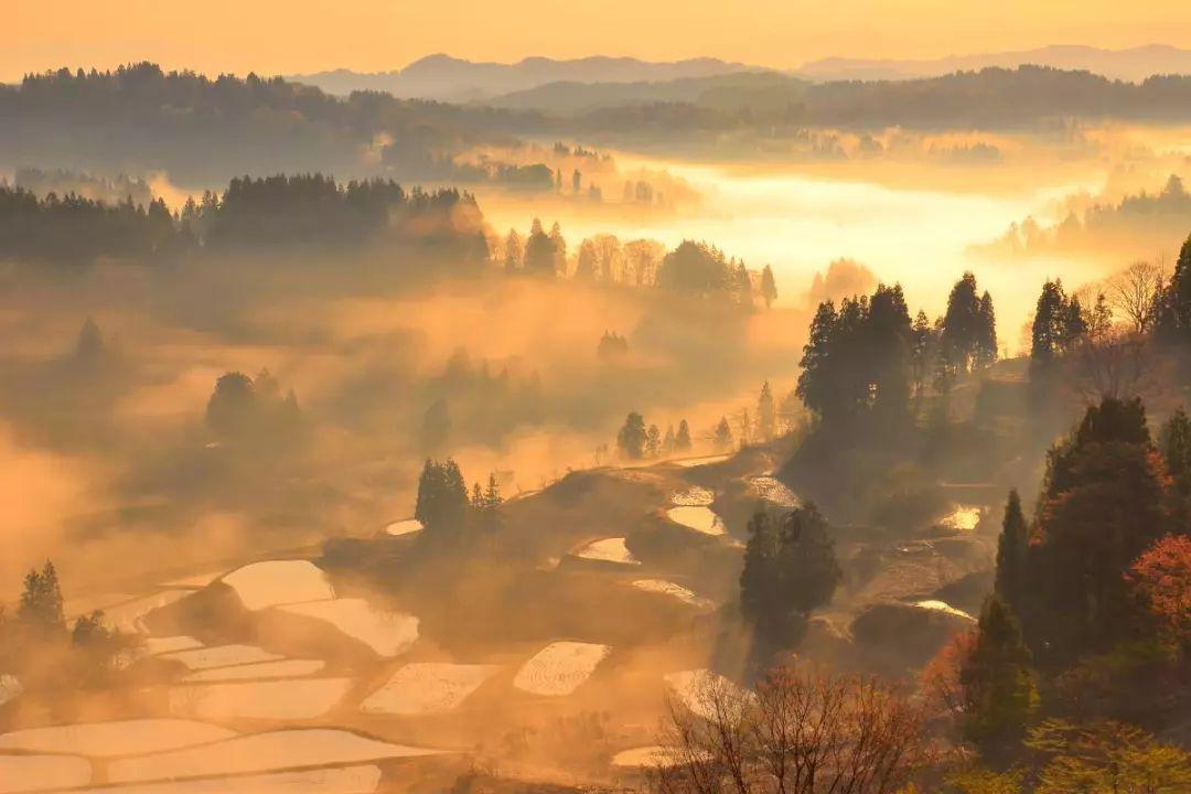 保卫我们的家园