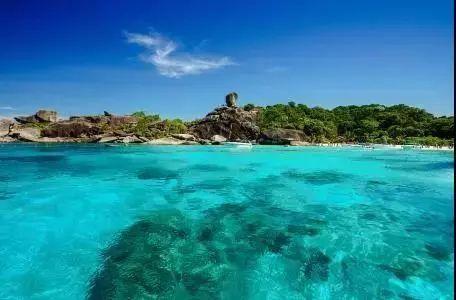 海绵宝宝寻珍宝
