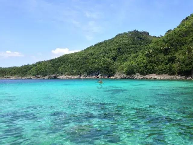 虫虫助手下载