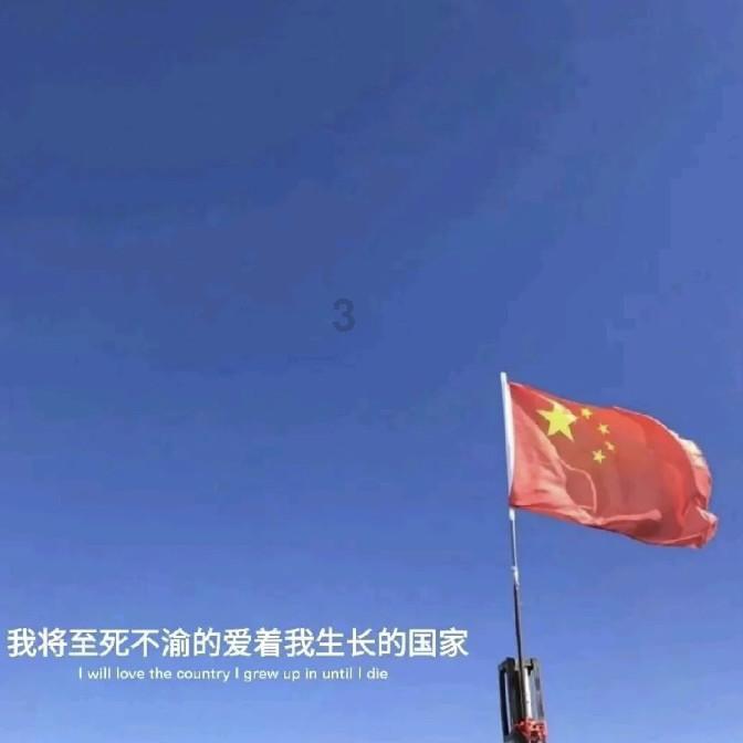 喜报|枣庄职业学院在2023年山东省“三下乡”社会实践荣获多项荣誉