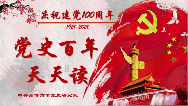 救援狗与猫