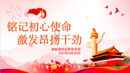 逃离梦想花园