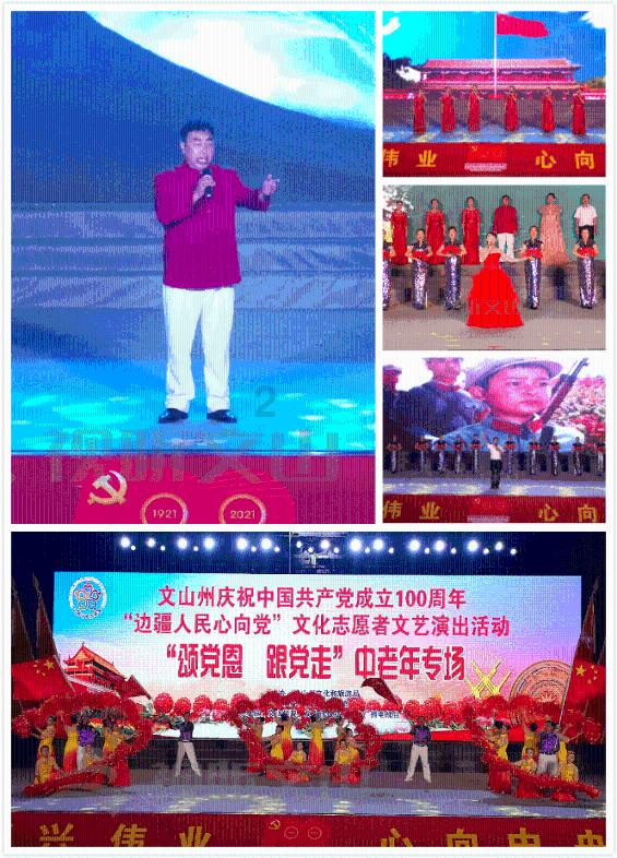 如果飞行的飞机撞到鸟会怎么样?-最全面有趣的红迪网平台