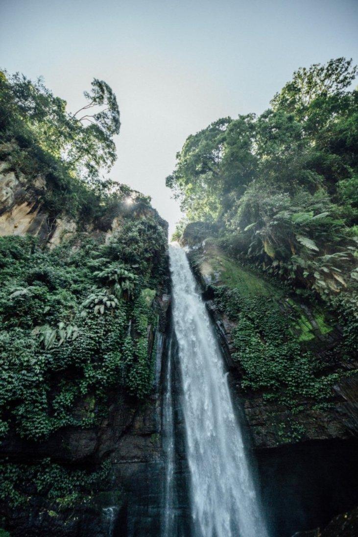 春雨直播app
