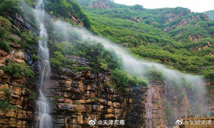 淘气兔救援