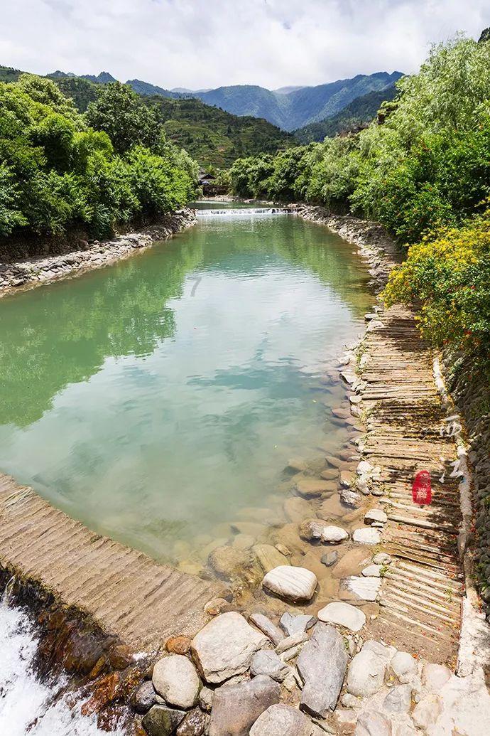 虫虫助手下载