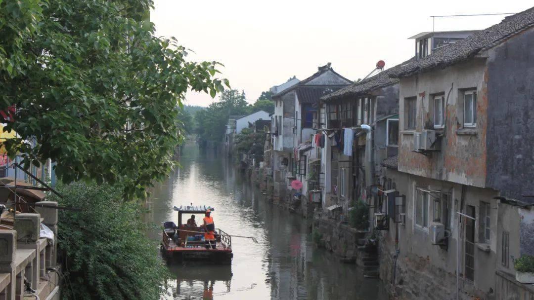 悲伤兔大冒险