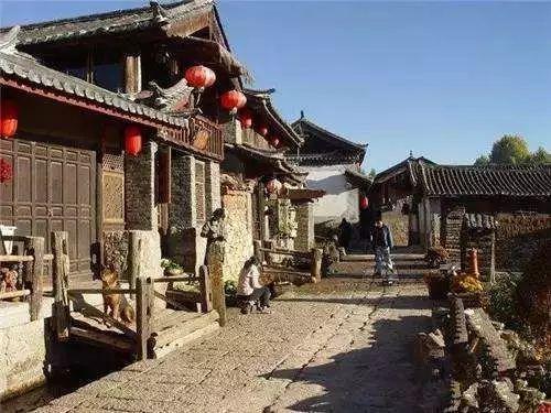 逃出小象森林